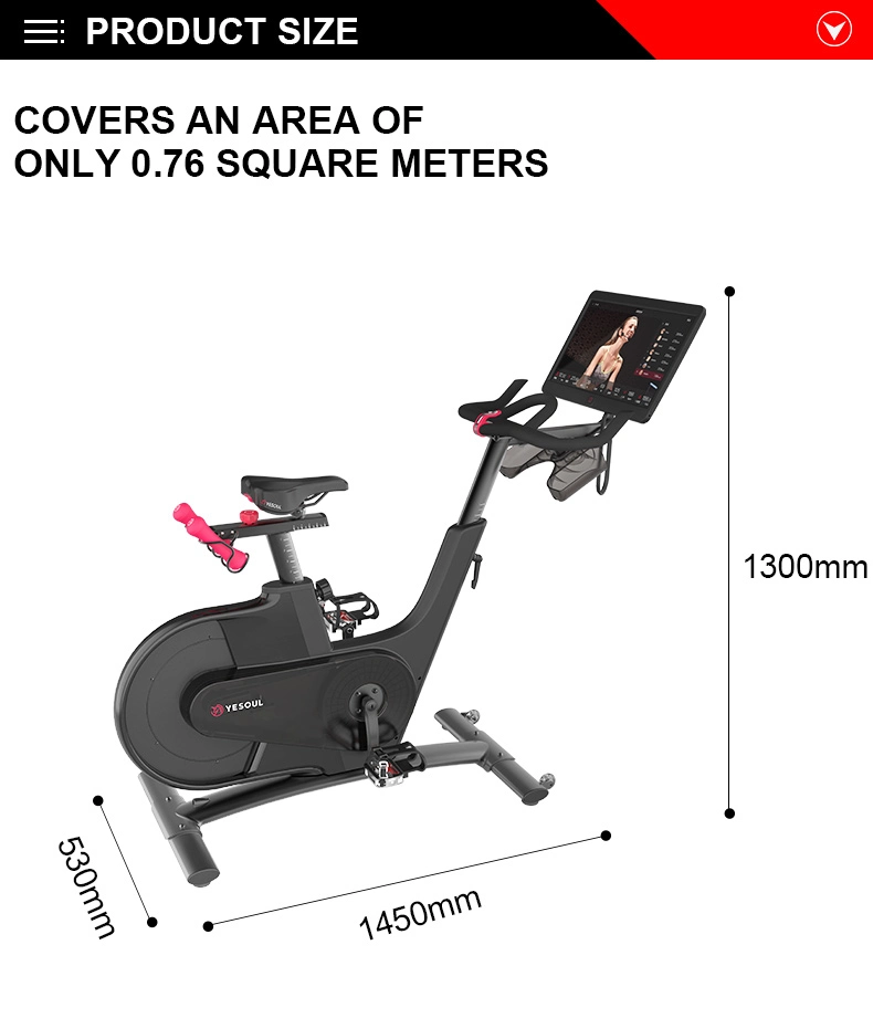 Professional Exercise Spinning Bike for Home Use