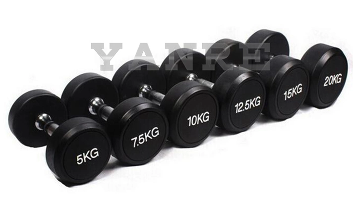 Round Head Rubber Coated Dumbbell Gym Weights Fitness Equipment Accessories Functional Training