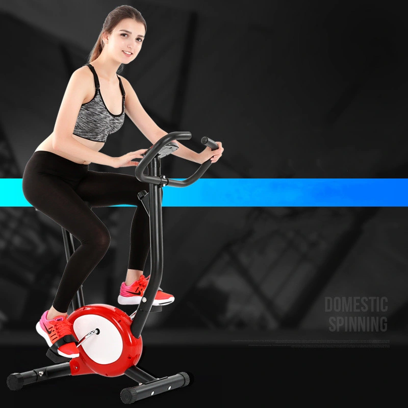 Home Gym Indoor Fitness Exercise Bike X Belt Bike Magnetic Bike with Pedal Sports Equipment Drive Belt Home Use Spin Bike Resistance Cycling