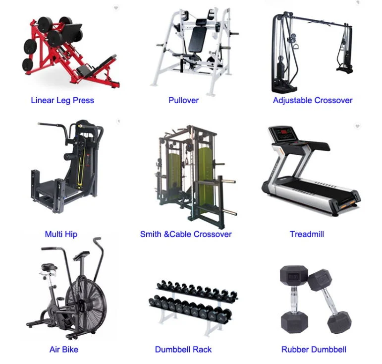 Professional Commercial Strength Equipment Body Building Pin Loaded Exercise Indoor Home Gym Sports Machine Assist DIP Chin Commercial Gym Fitness Equipment