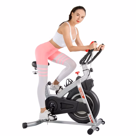 Professional Exercise Spinning Bike for Home Use