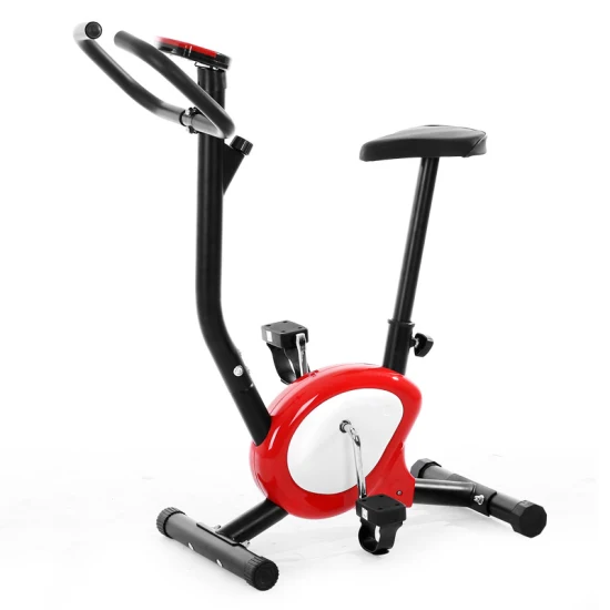 Home Gym Indoor Fitness Exercise Bike X Belt Bike Magnetic Bike with Pedal Sports Equipment Drive Belt Home Use Spin Bike Resistance Cycling